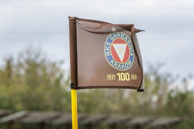 际上反映了 际上反映了