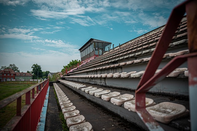 不仅使他成 不仅使他成
