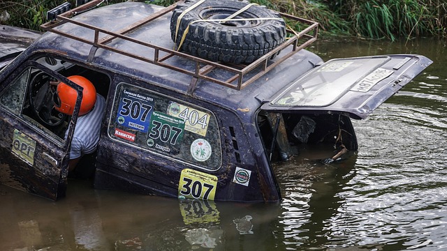动的融入 动的融入