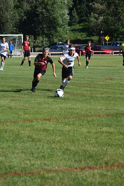 了巨大的心 了巨大的心