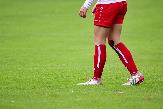 的巴西球员 的巴西球员