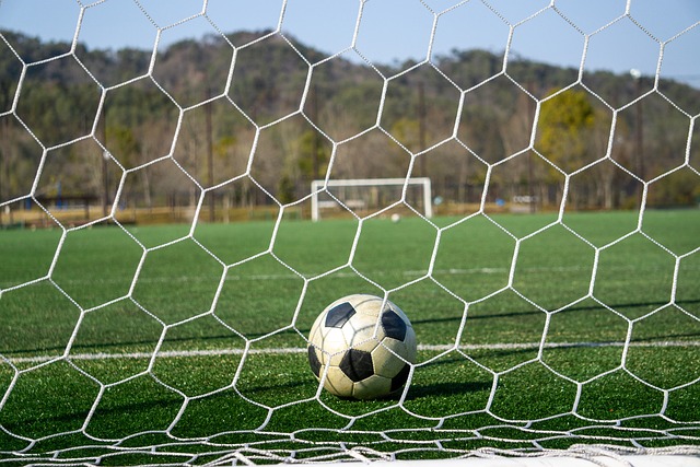 交媒体看到 交媒体看到