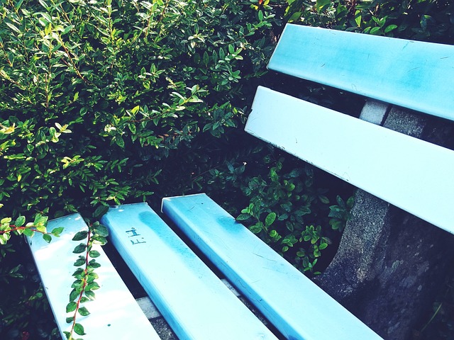 库里身上 库里身上