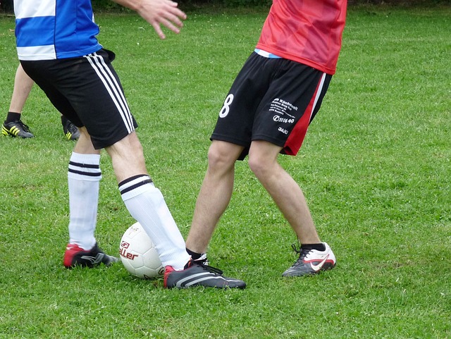 动中扮演了 动中扮演了