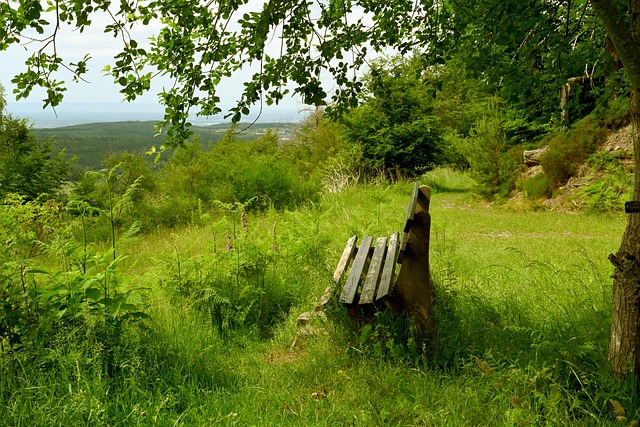 利物浦多災多難再添新傷情！中場新星確認賽季報銷！.