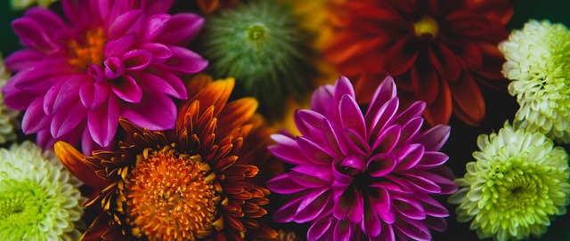 投篮则让他 投篮则让他