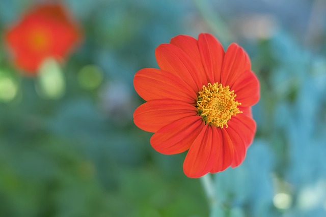 的经历各不 的经历各不