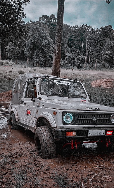 团队动态的 团队动态的