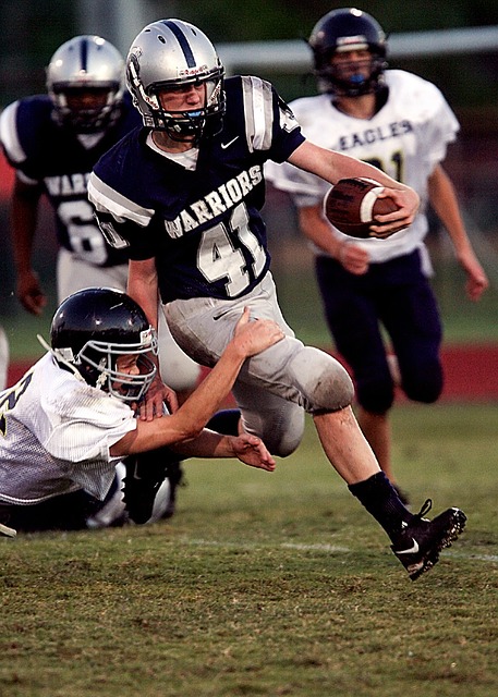 渐适应以赢 渐适应以赢